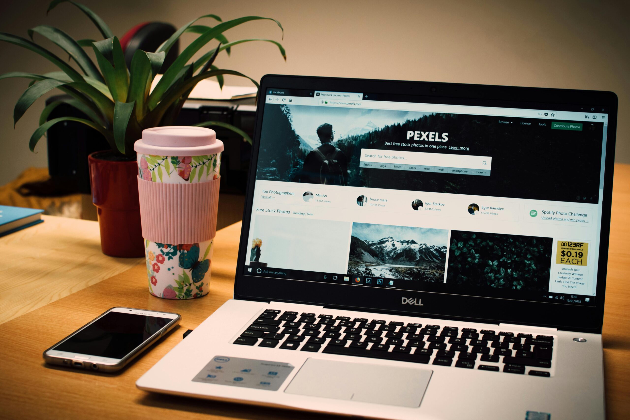 JUNK REMOVAL & TREE SERVICE DIGITAL MARKETING AGENCY​